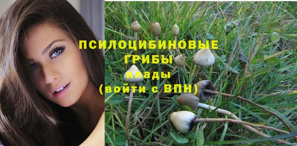 мескалин Алексеевка